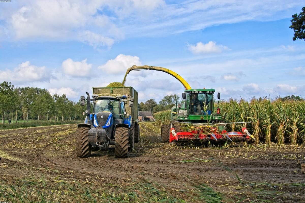 Cosechadora trabajando en el campo